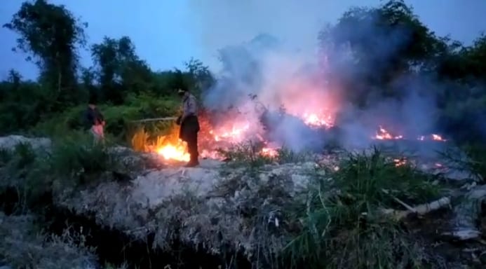 Personel BPBD Asahan dan tim gabungan memadamkan lahan yang terbakar di Sei Kepayang.