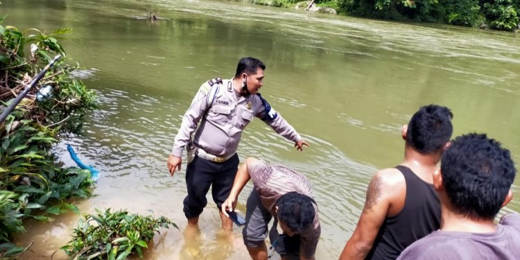 Personil Polres Asahan beserta warga melakukan pencarian Amran Sitorus.
Foto/teks: sofyan butar butar