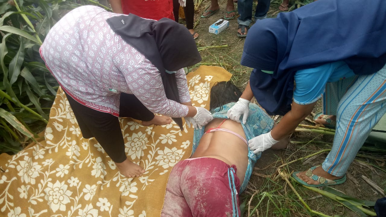 Pamit Pergi ke Ladang Jagung, Nuriah Pardede Ditemukan Tewas