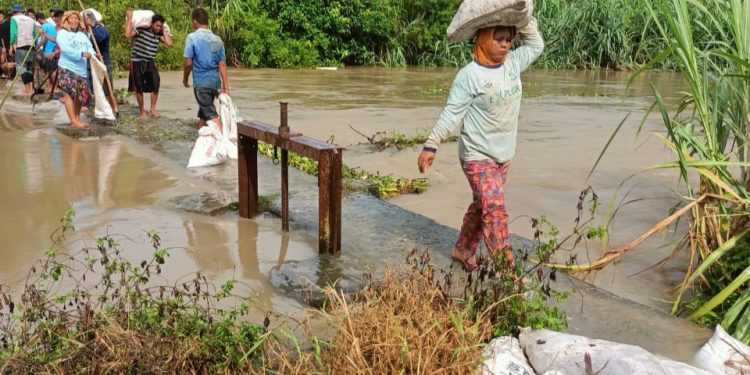 Warga Desa Meranti, Asahan bahu membahu memperbaiki tanggul Sungai Serani yang jebol.
foto/teks: edi surya