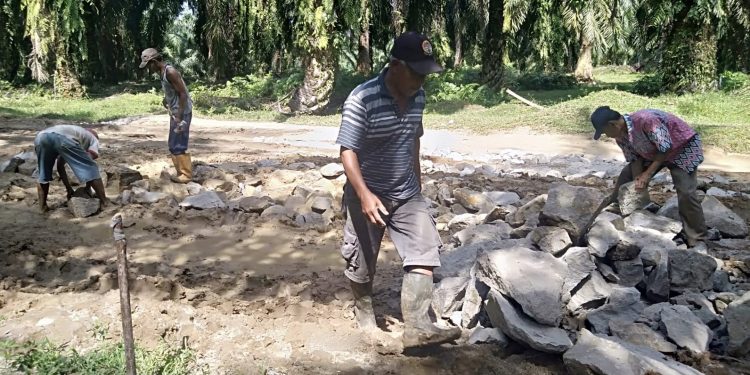 Untuk mengurangi hambatan dalam memperoleh penanganan medis dan membawa hasil pertanian ke luar desa, Warga Desa Mekar Marjanji, Kecamatan Aek Songansongan, Asahan bergotong royong memperbaiki jalan dengan material seadanya.
foto/teks: sofyan butar butar