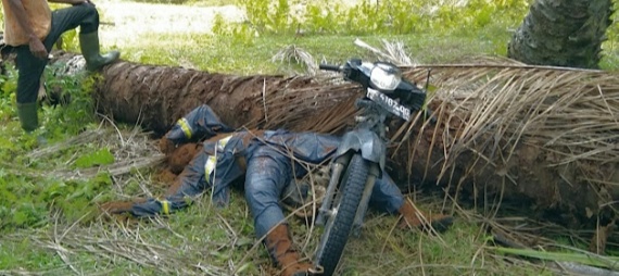 Empat Hari Gak Pulang, Azmi Ditemukan Tewas Tertimpa Pokok Sawit