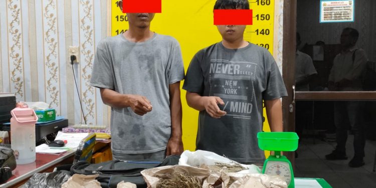 Pengedar Narkotika Ganja di Jalan Arwana Sidomukti Diringkus