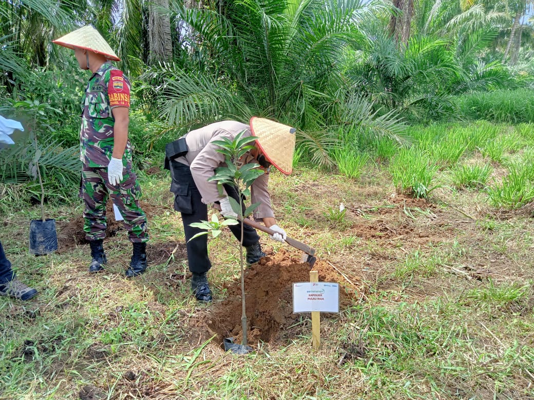 Kanit Binmas Polsek Pulau Raja Hadiri Penanaman 430 Pohon Oleh BRI