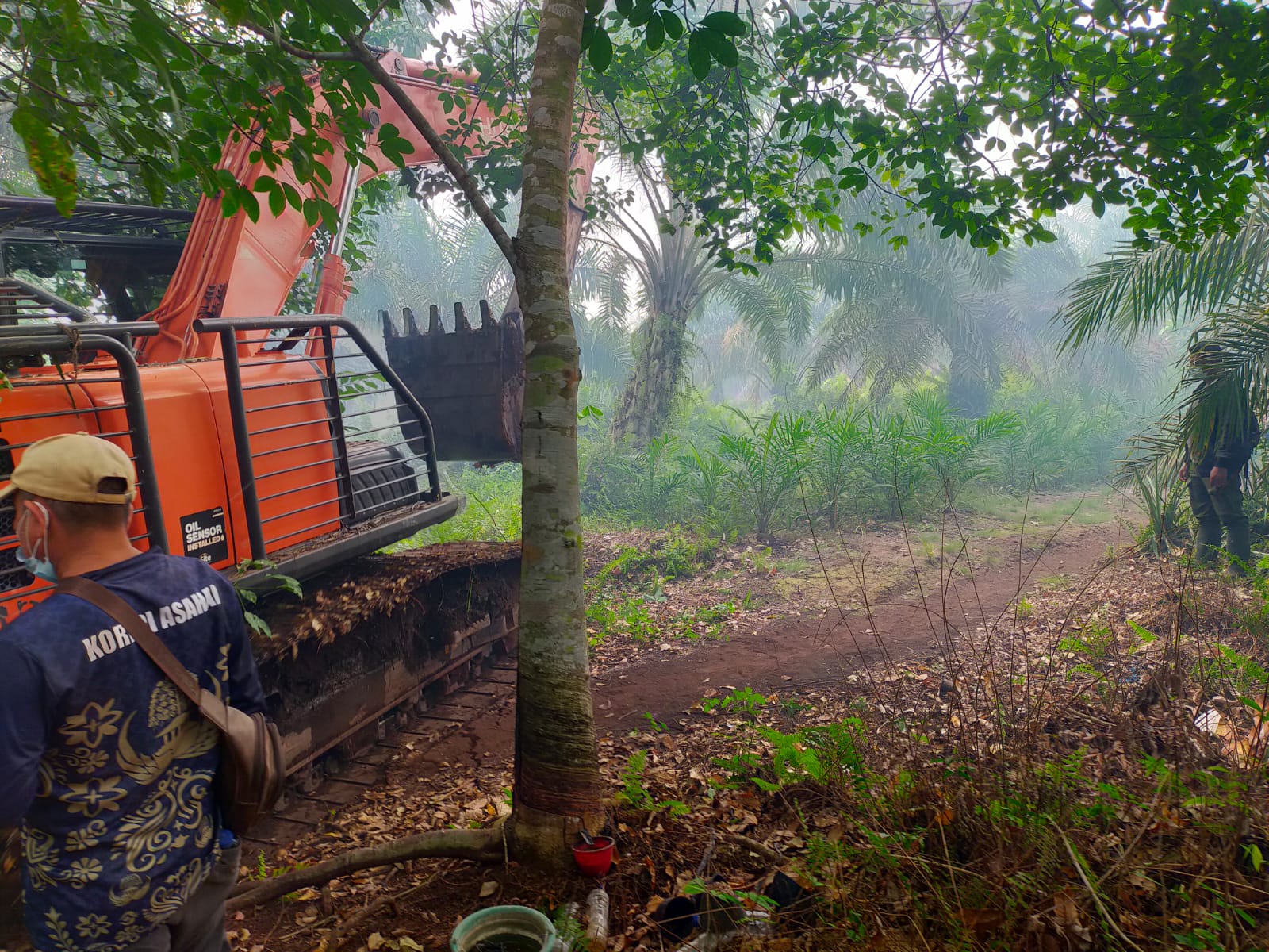 Kebakaran Hutan dan Lahan di Sei Kepayang, PT IPS Kerahkan Alat Berat