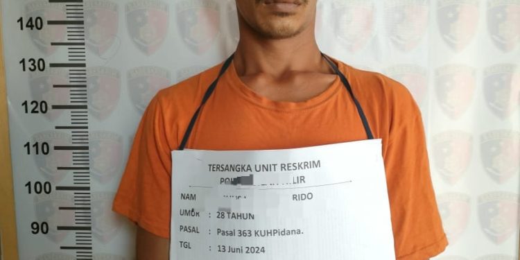 Tersangka Pencurian di Labuhanbatu Diringkus Polisi