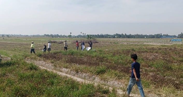 Petani di Kecamatan Rawang Panca Arga Terancam Gagal Tanam padi