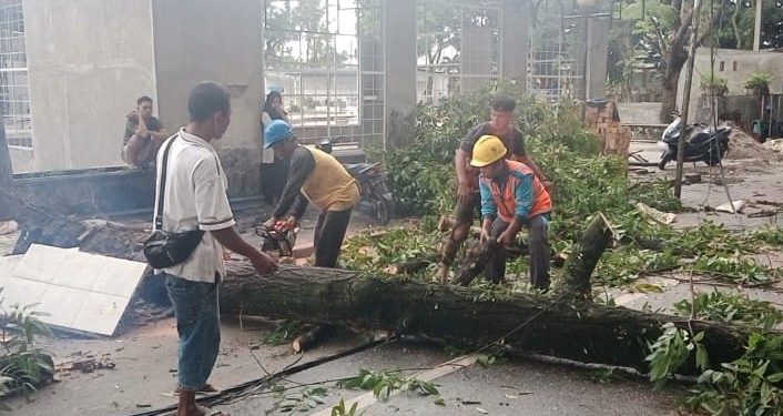 Hujan Lebat dan Angin Kencang di Asahan Akibatkan Pohon Tumbang