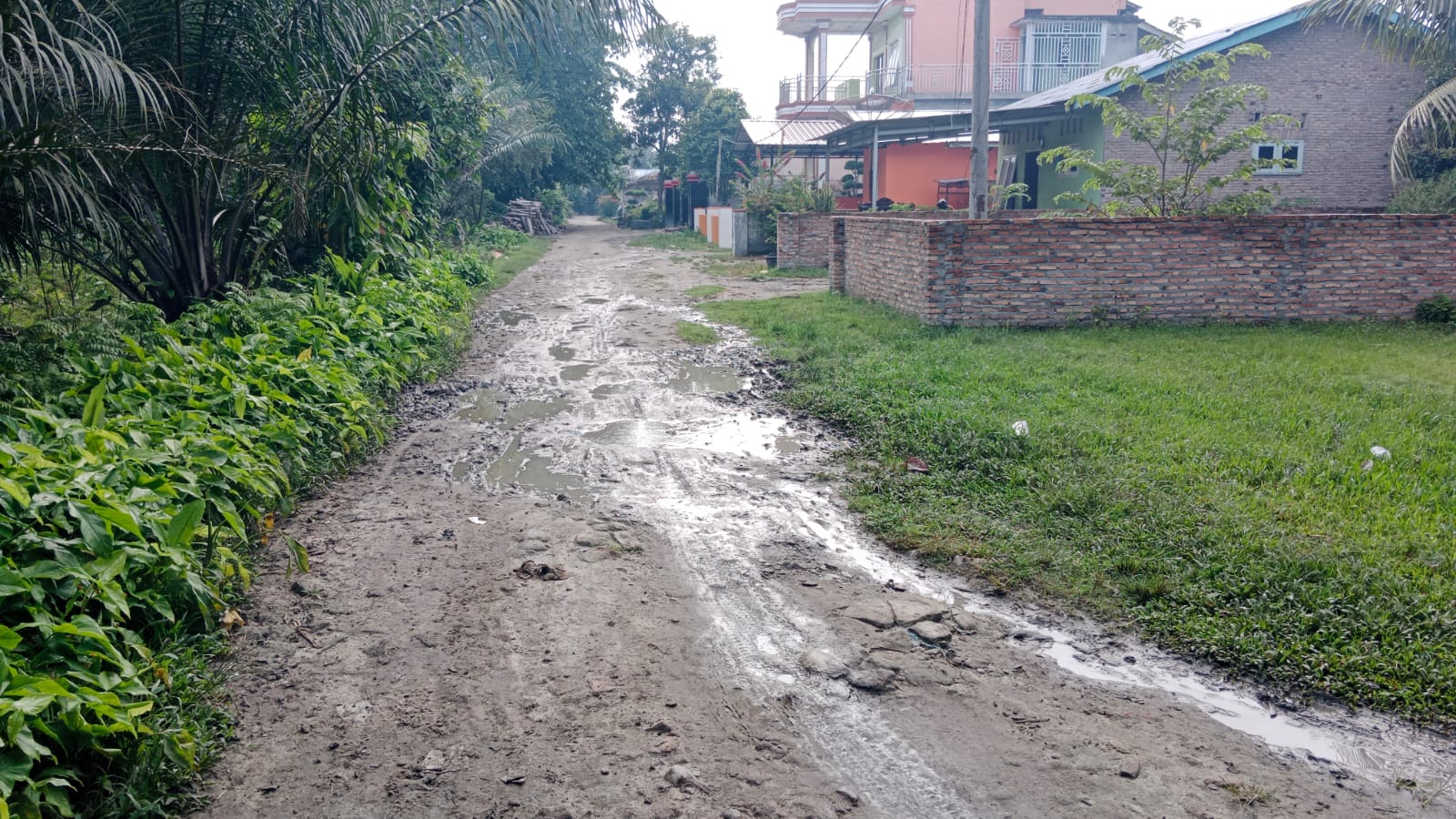 Pembuangan Limbah Pabrik Tahu di Bunut Sebrang Diprotes Warga