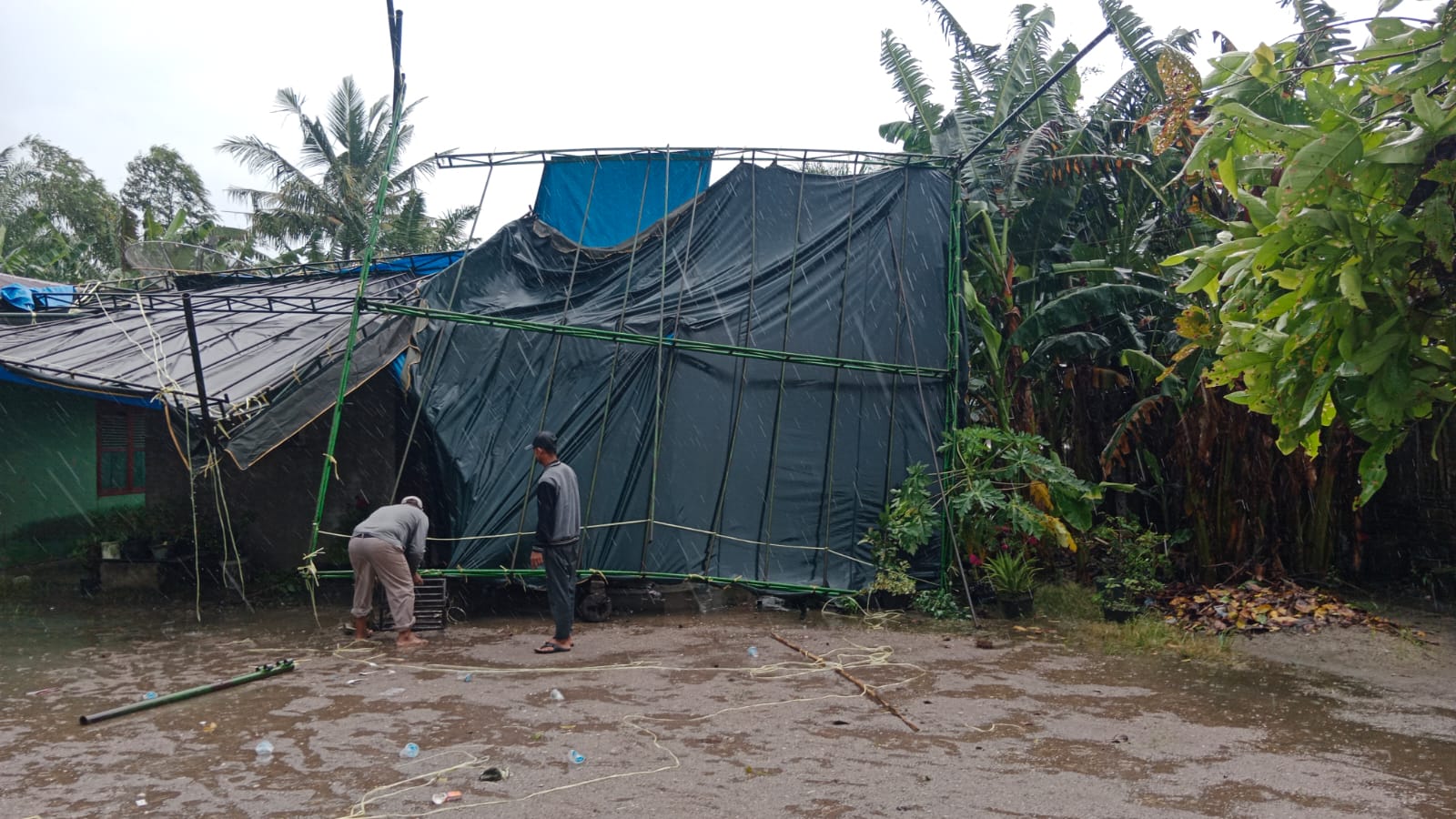 Sejumlah Tenda TPS di Kecamatan Meranti Ambruk Diterjang Angin