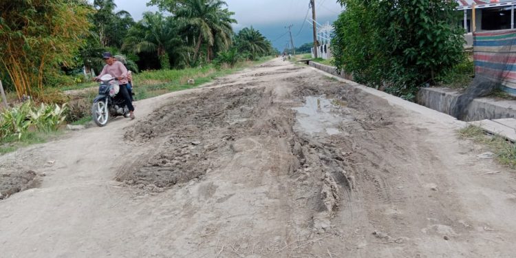 Warga Desa Panca Arga Tuntut Perbaikan Jalan