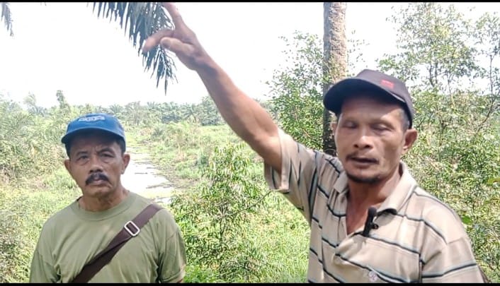 Warga Tuding PT PEU Serobot dan Rusak Tanaman Mereka